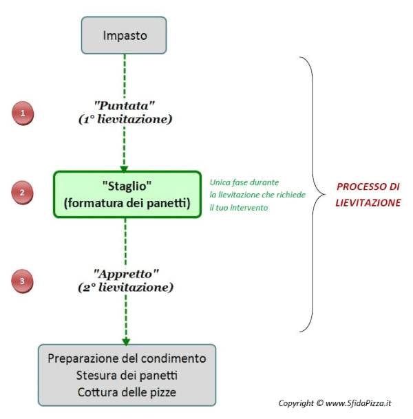 Puntata Staglio Appretto: le tre fasi del processo di lievitazione della vera pizza napoletana by Claudia Fiore sfidapizza.it, sfidapizza o sfida pizza